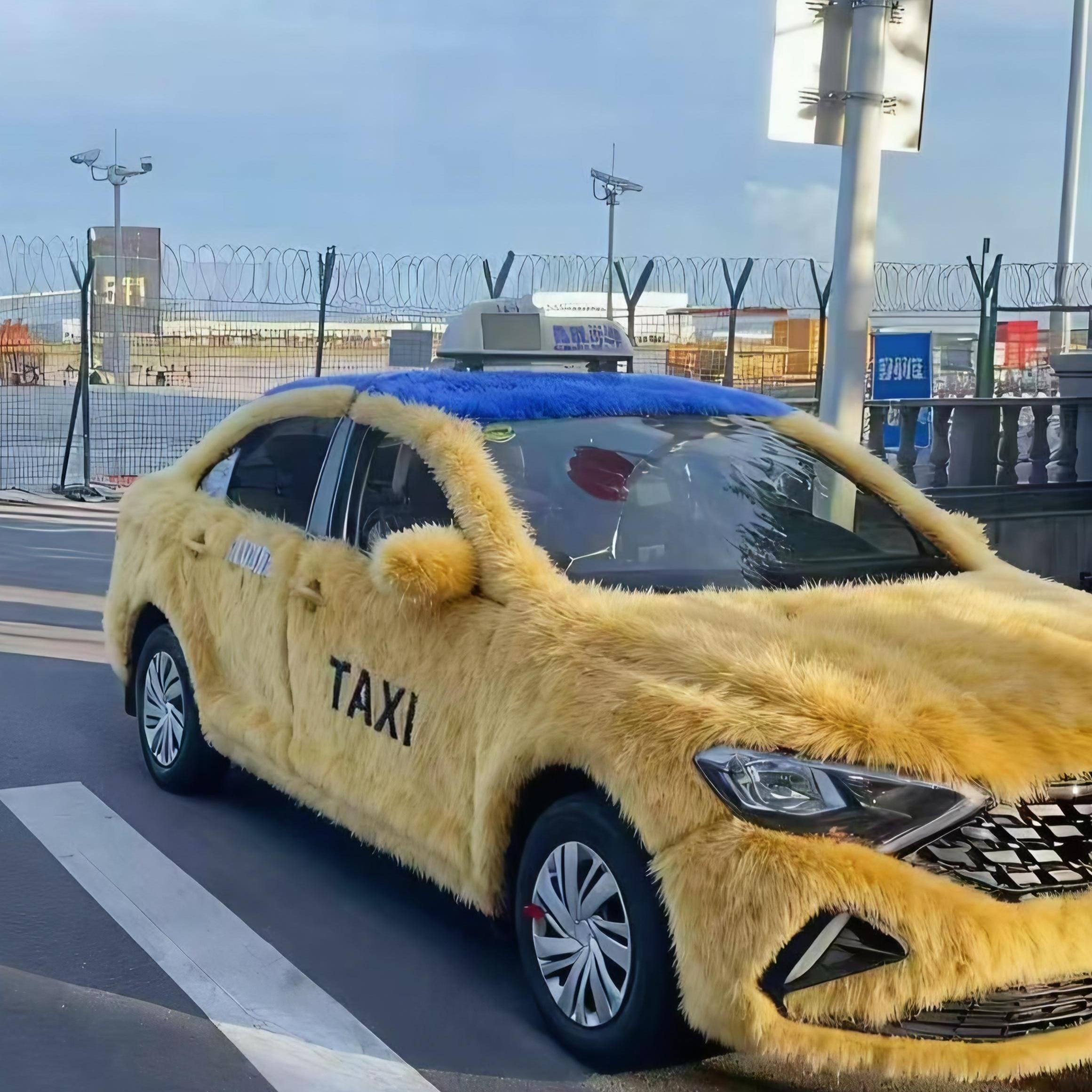ZXL2025
