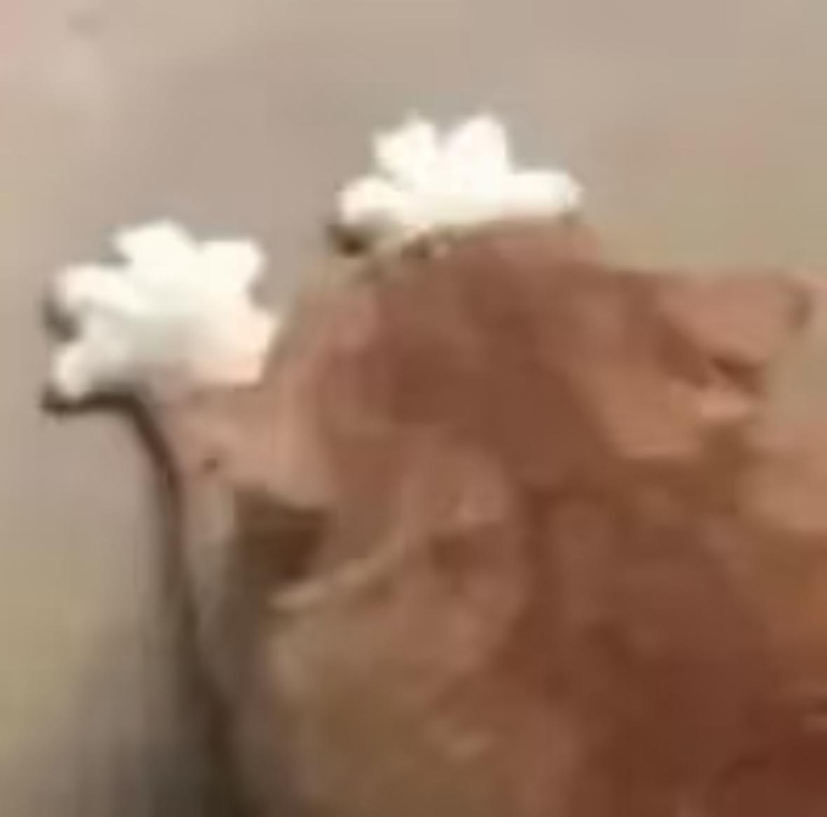 hhhhhh7