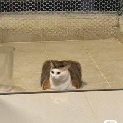 23468