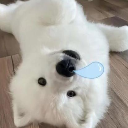 nsisks